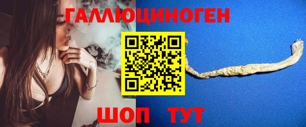 Сургут  Псилоцибиновые грибы MAGIC MUSHROOMS  Вход с VPN 