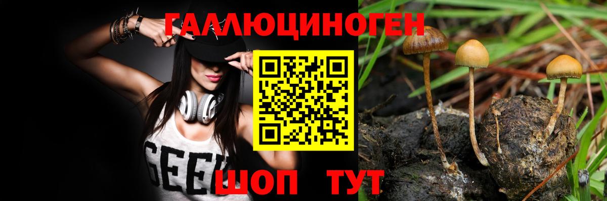 Галлюциногенные грибы прущие грибы Сургут